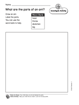 What Are the Parts of an Ant?