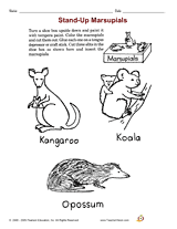 Stand-Up Marsupials