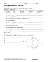 What Kind of Star Is the Sun?