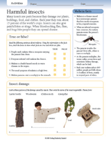 Harmful Insects