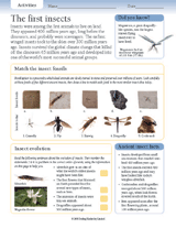 The First Insects
