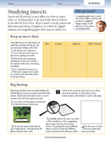 Studying Insects